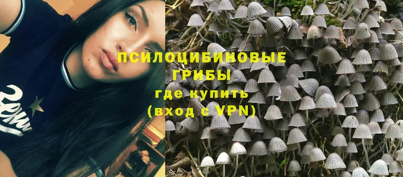 МЕГА как войти  купить наркотики сайты  Магадан  Псилоцибиновые грибы Magic Shrooms 